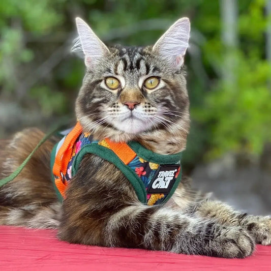 "the Hawaiian Shirt" Cat Harness & Leash Set