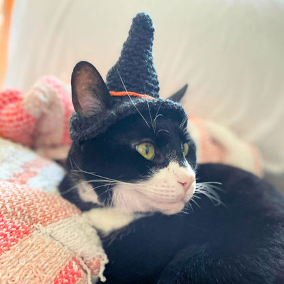 Hand-Crocheted Pet Witch Hat