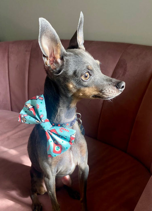 Puppermint Latte Pet Bowtie