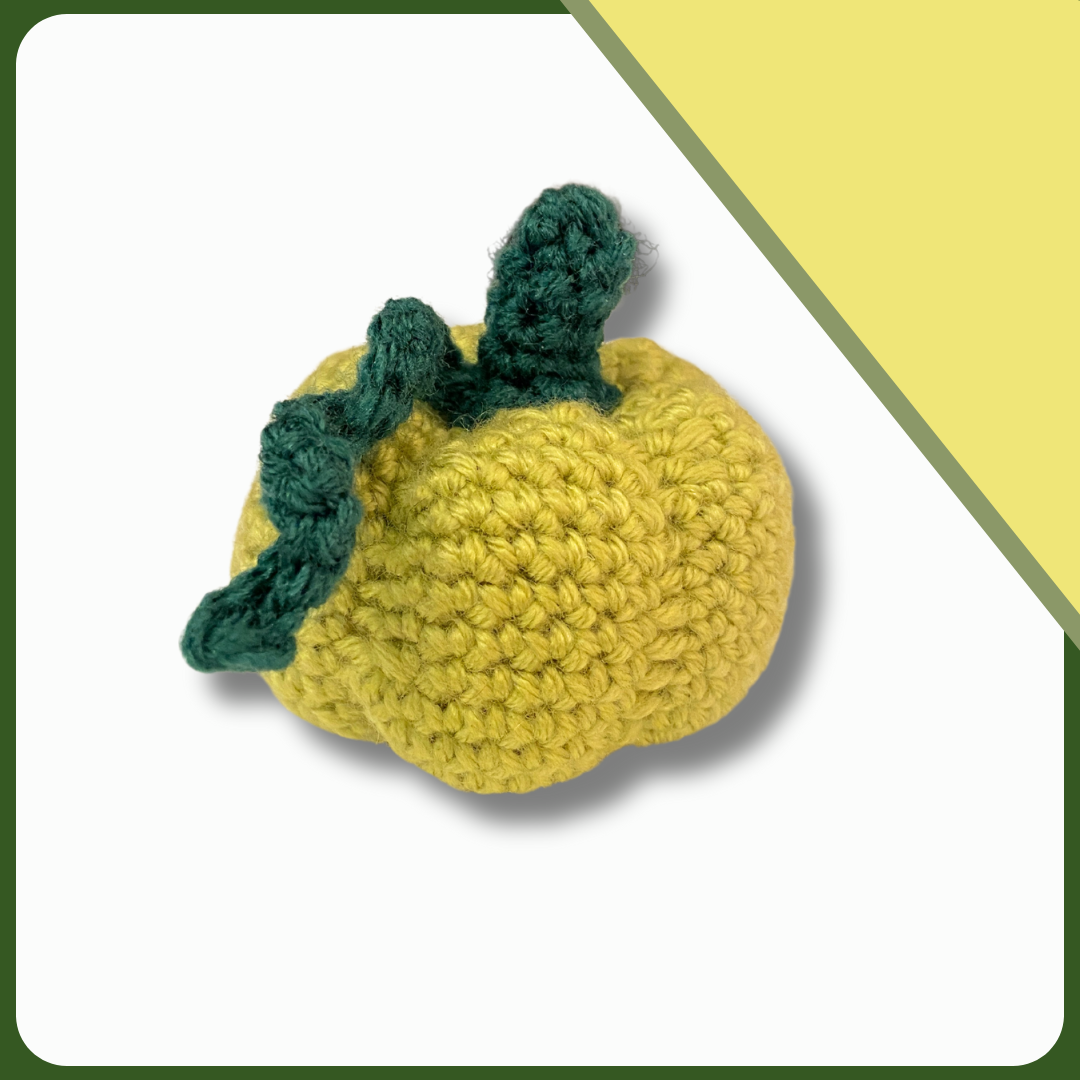 Hand-crocheted Catnip Pumpkin Toy