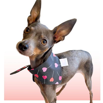 Lollipop Hearts Classic Pet Bandana