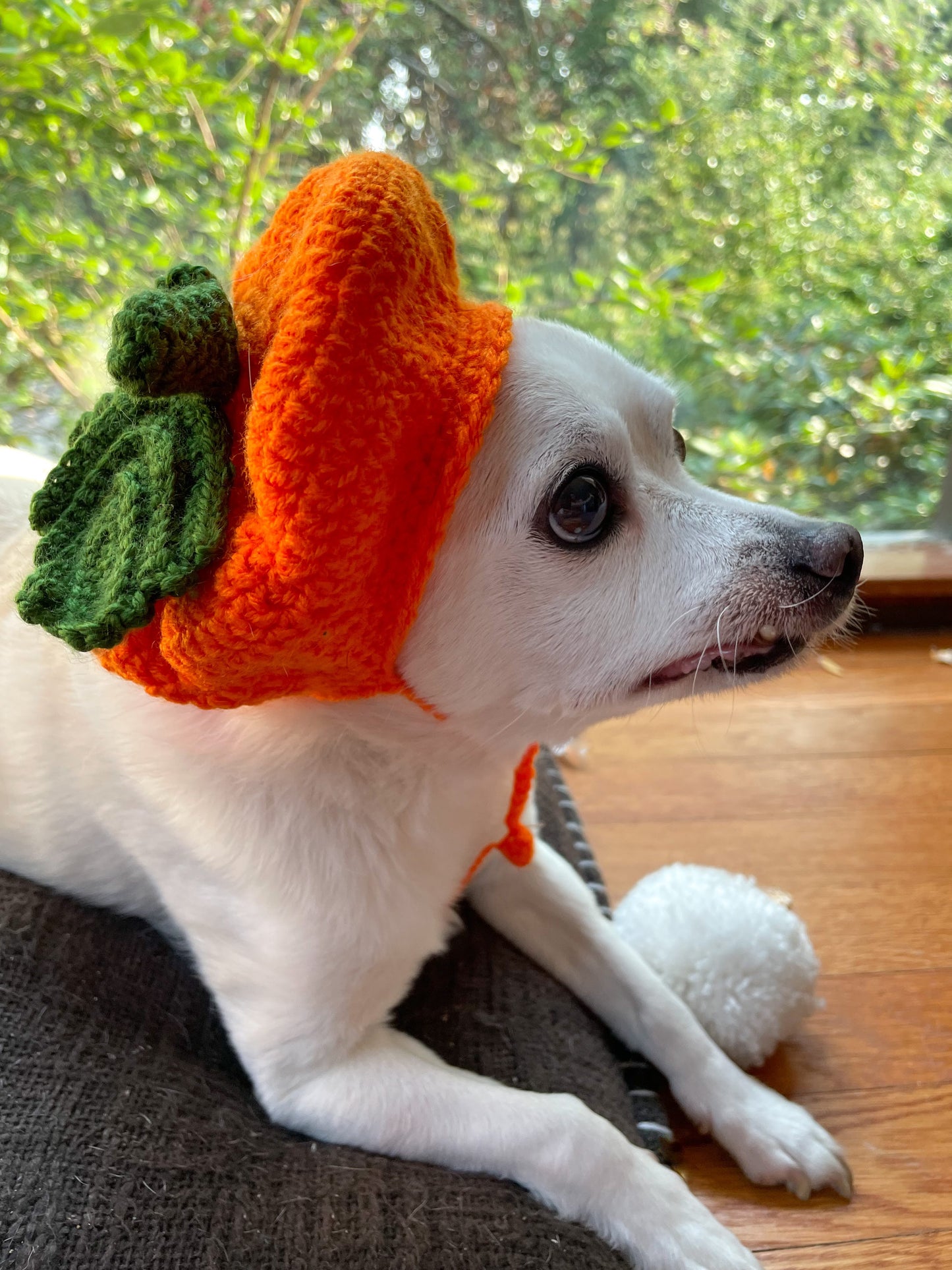 Handmade Pet Pumpkin Beret