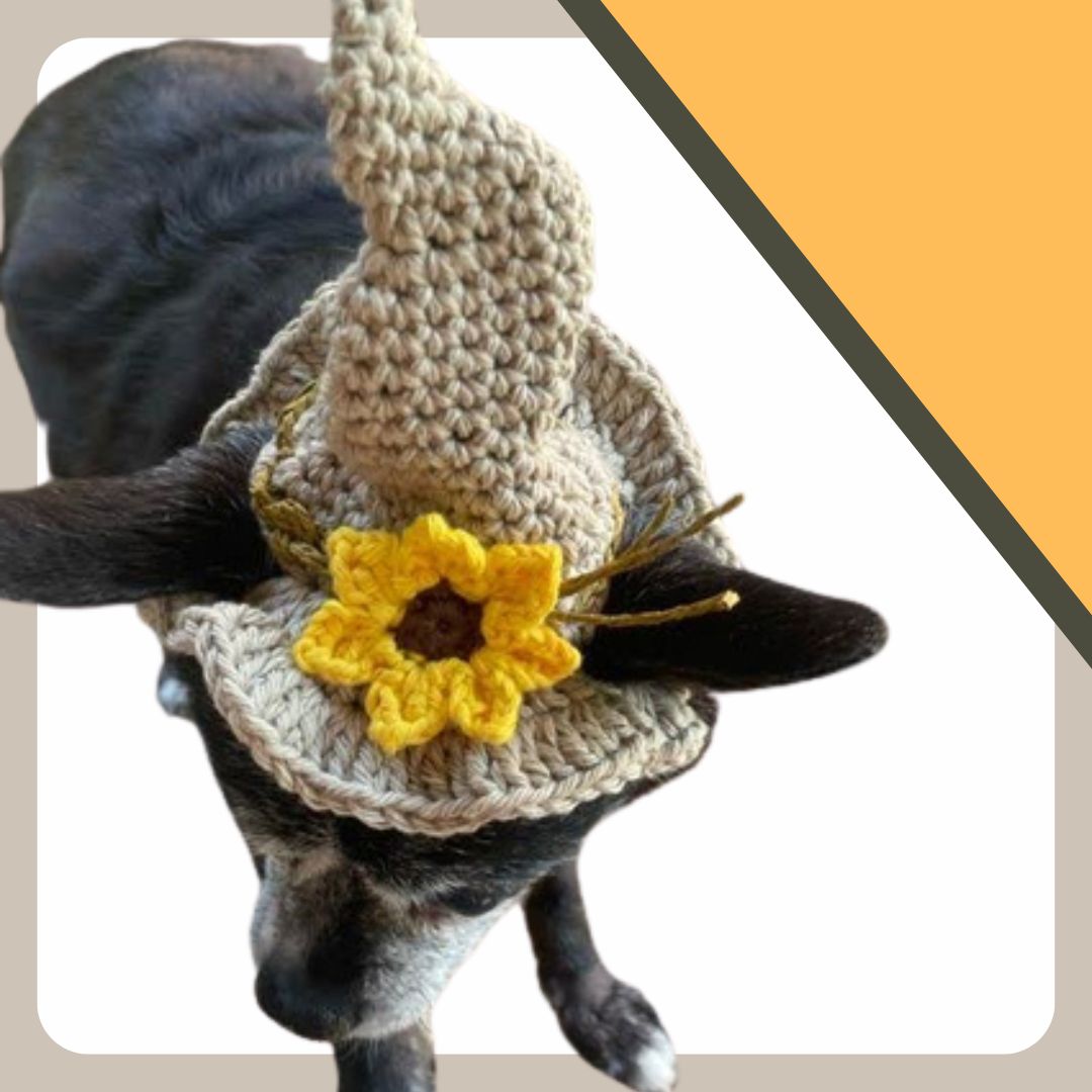 Hand-Crocheted Scarecrow Pet Hat