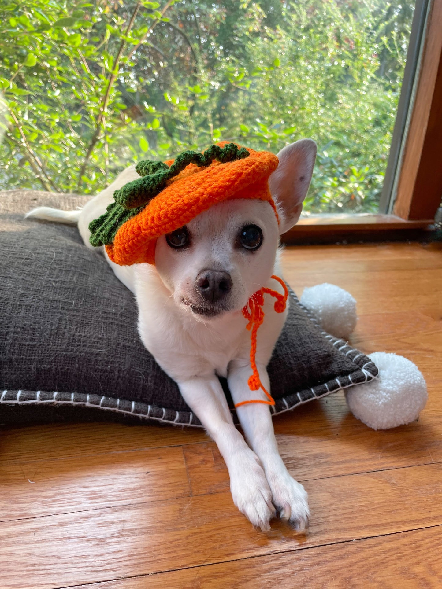 Handmade Pet Pumpkin Beret