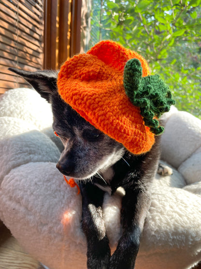 Handmade Pet Pumpkin Beret