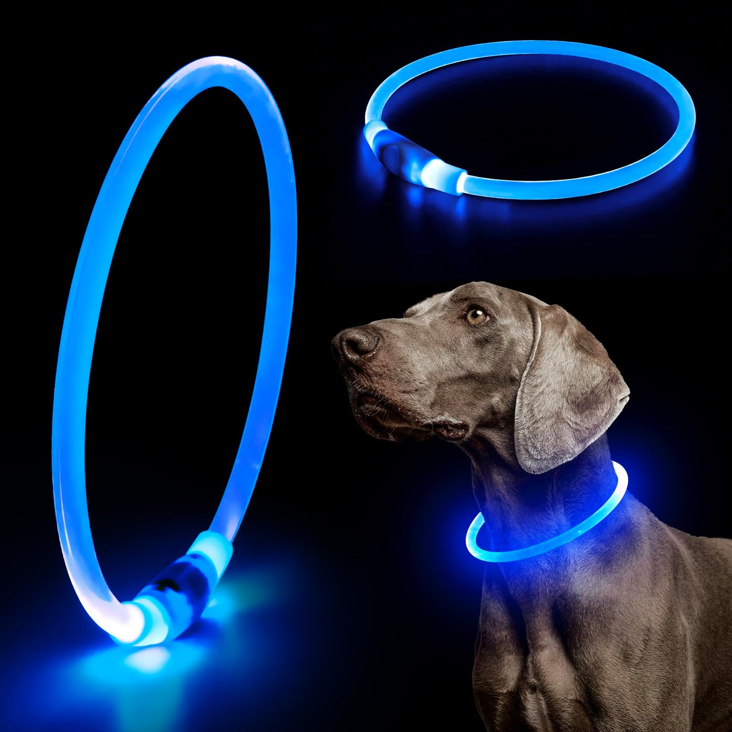 LED Dog Safety Collar