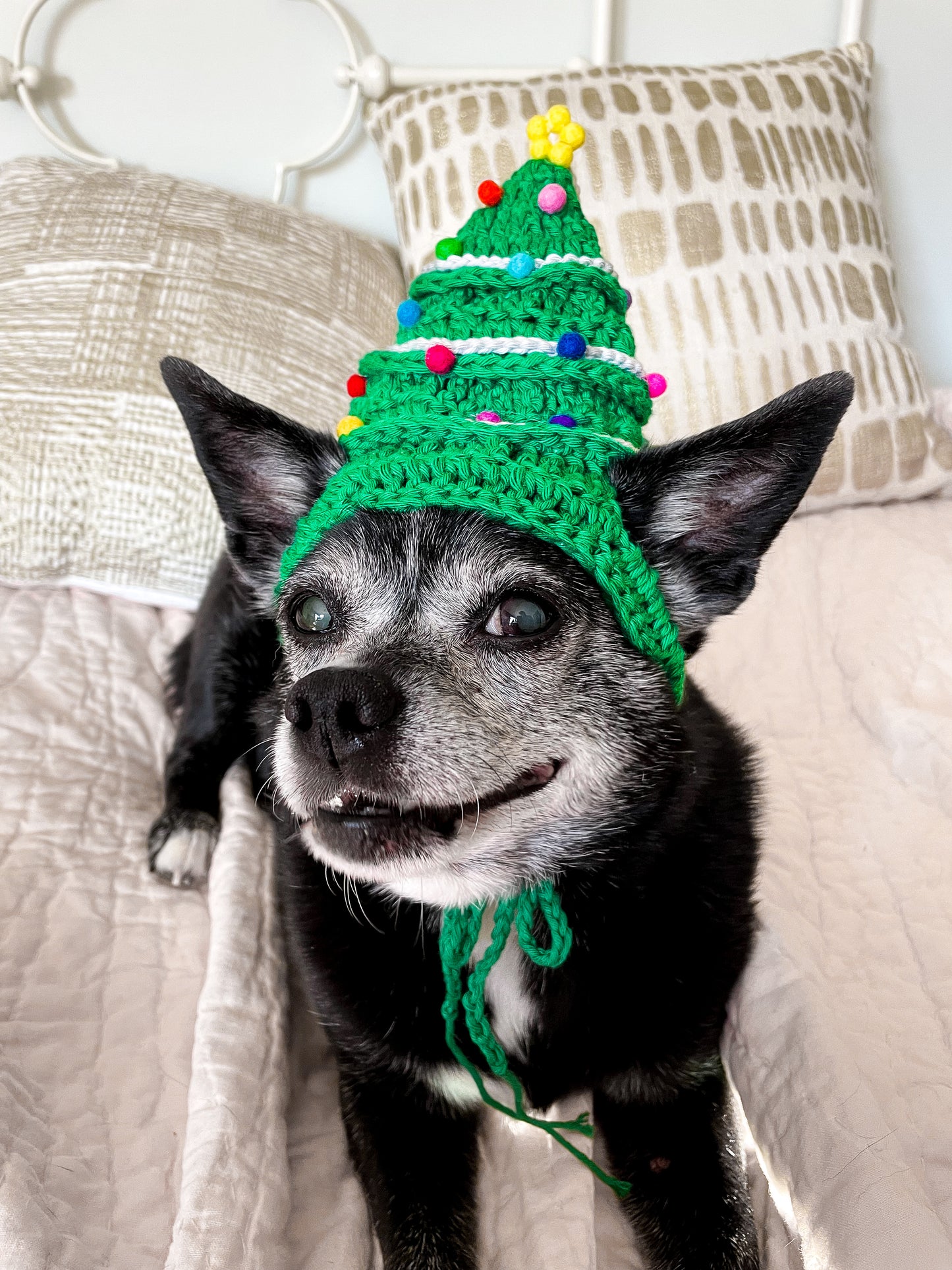 Hand-Crocheted Christmas Tree Pet Hat