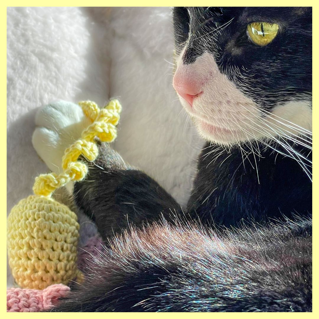 Hand-Crocheted Mouse Catnip Cat Toy