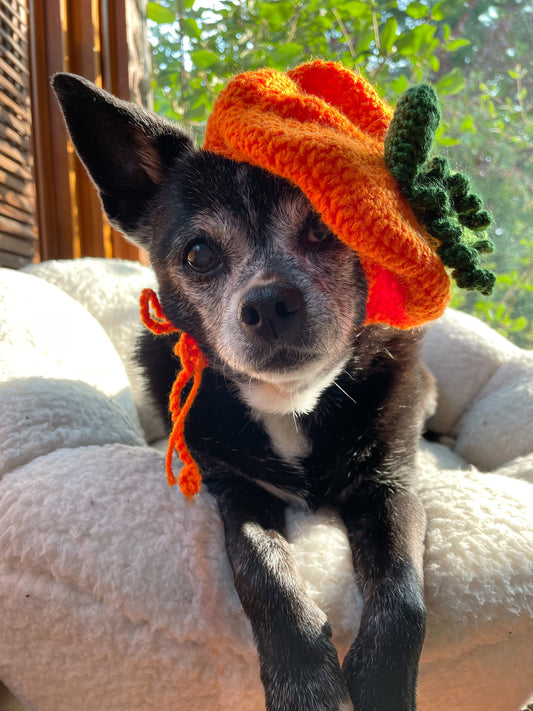 Handmade Pet Pumpkin Beret