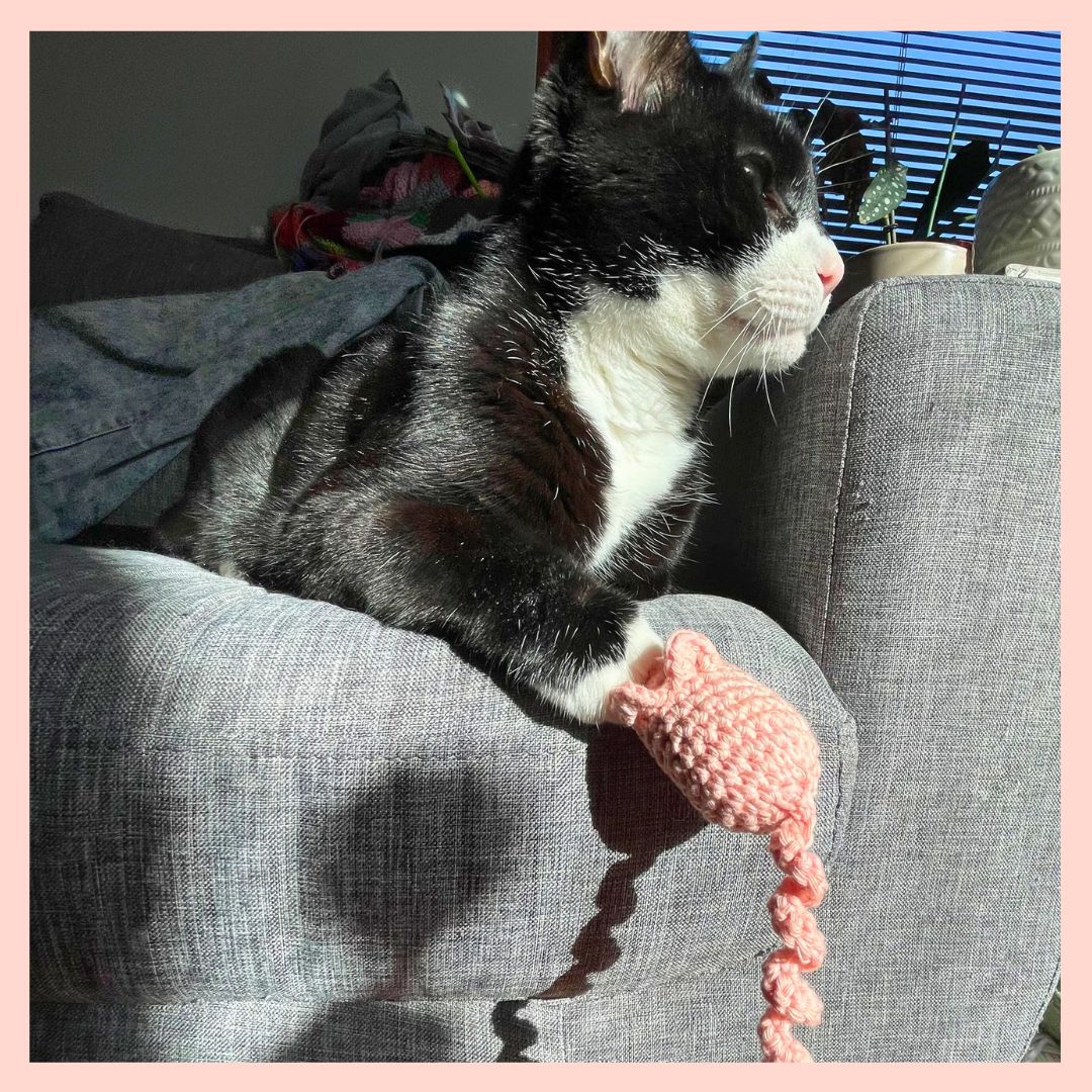 Hand-Crocheted Mouse Catnip Cat Toy