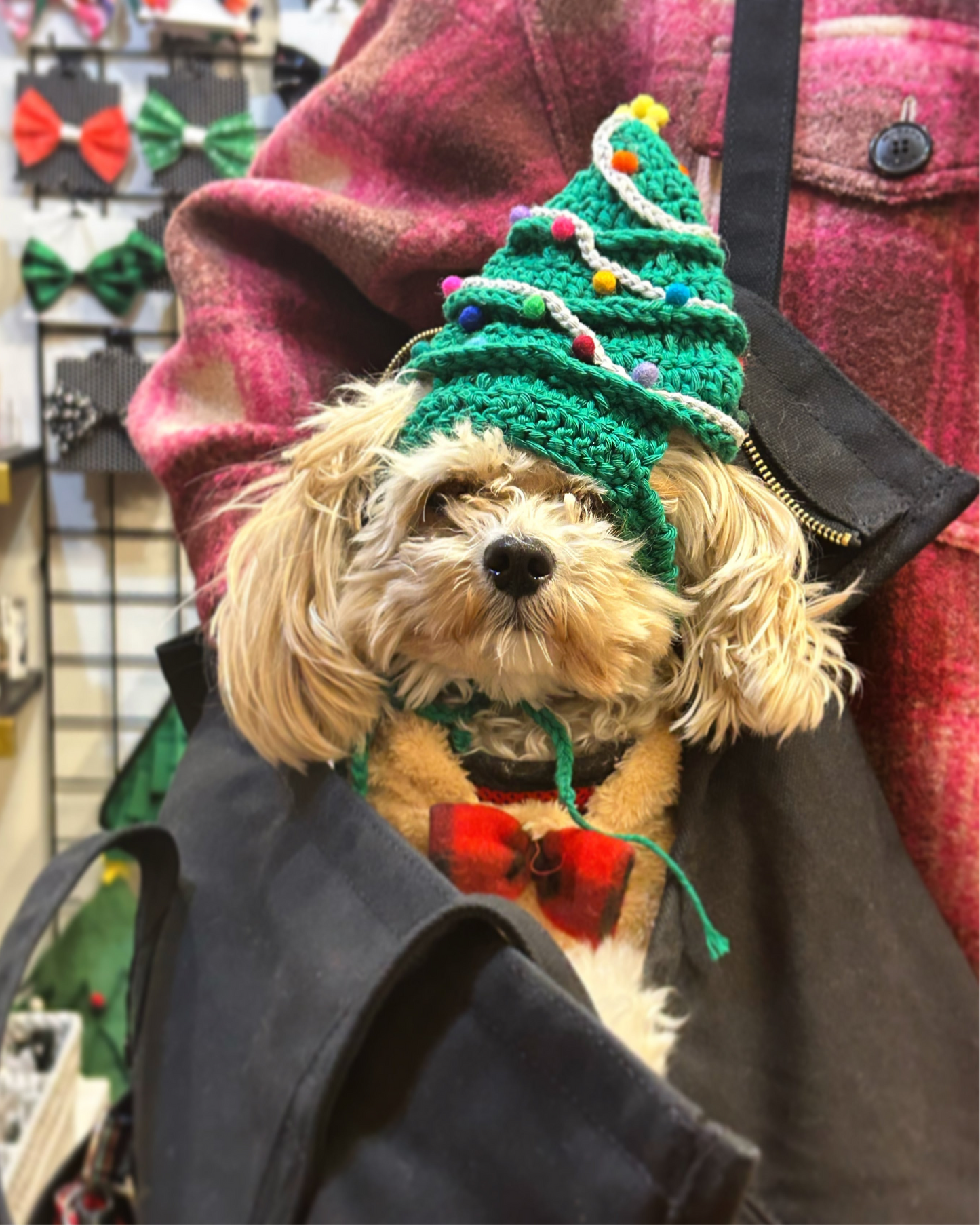 Hand-Crocheted Christmas Tree Pet Hat