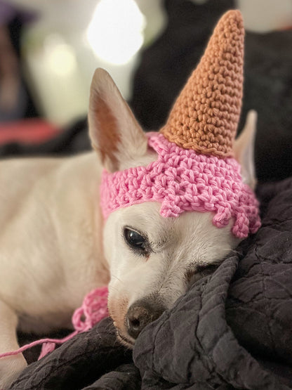 Mystery Ice Cream Hat! Hand Crocheted Cat/Small Dog Hat