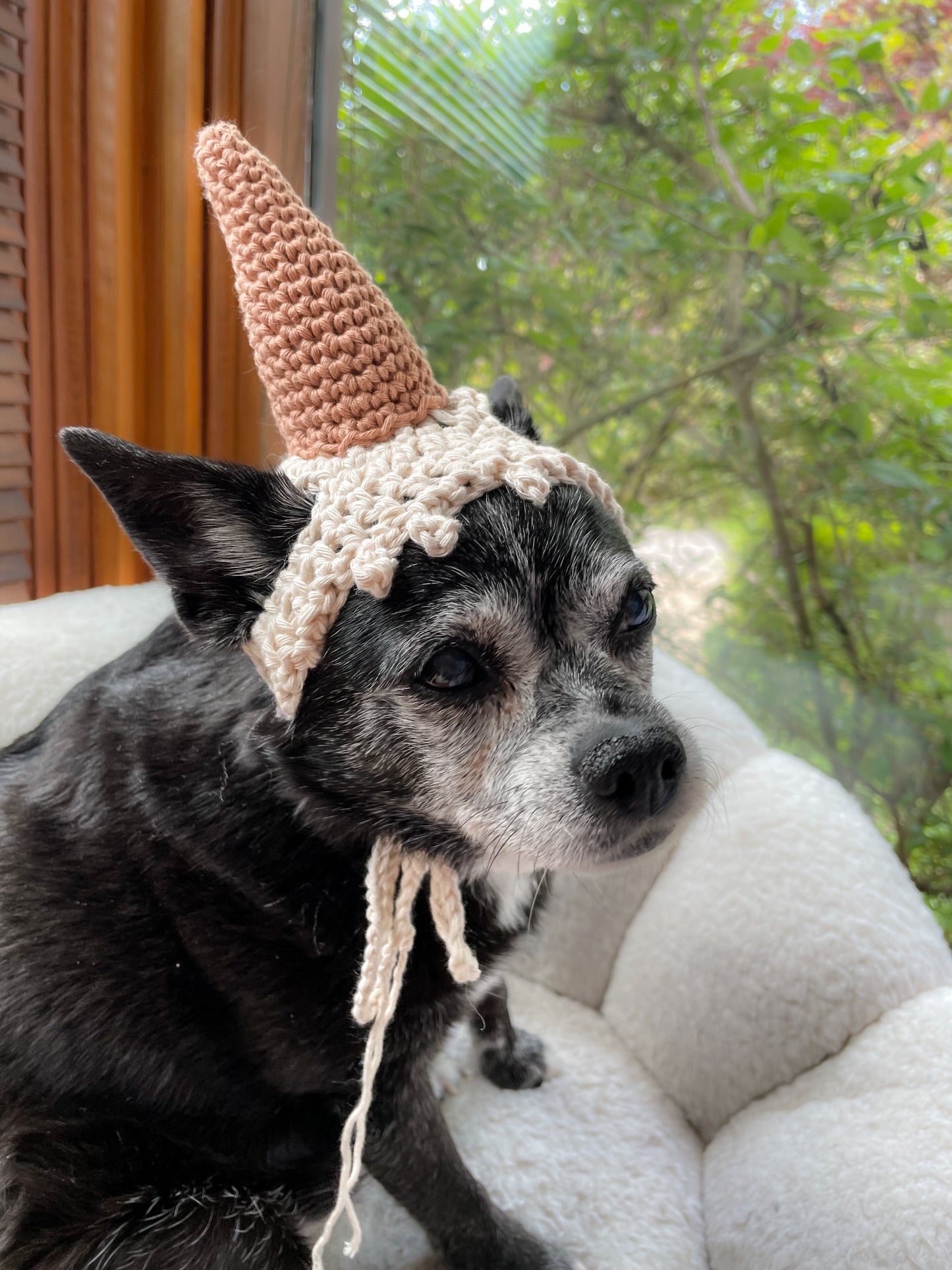 Mystery Ice Cream Hat! Hand Crocheted Cat/Small Dog Hat