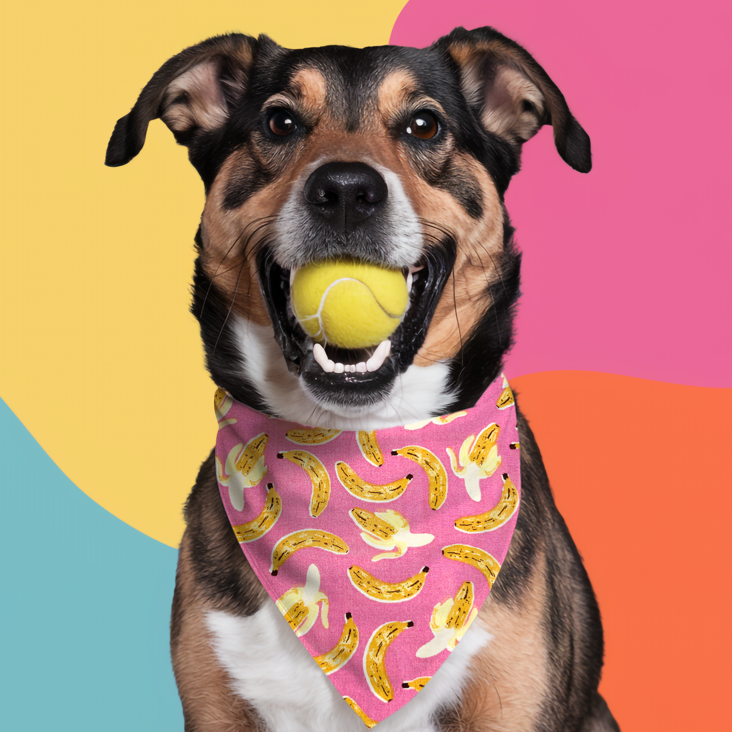 Go Bananas Classic Pet Bandana