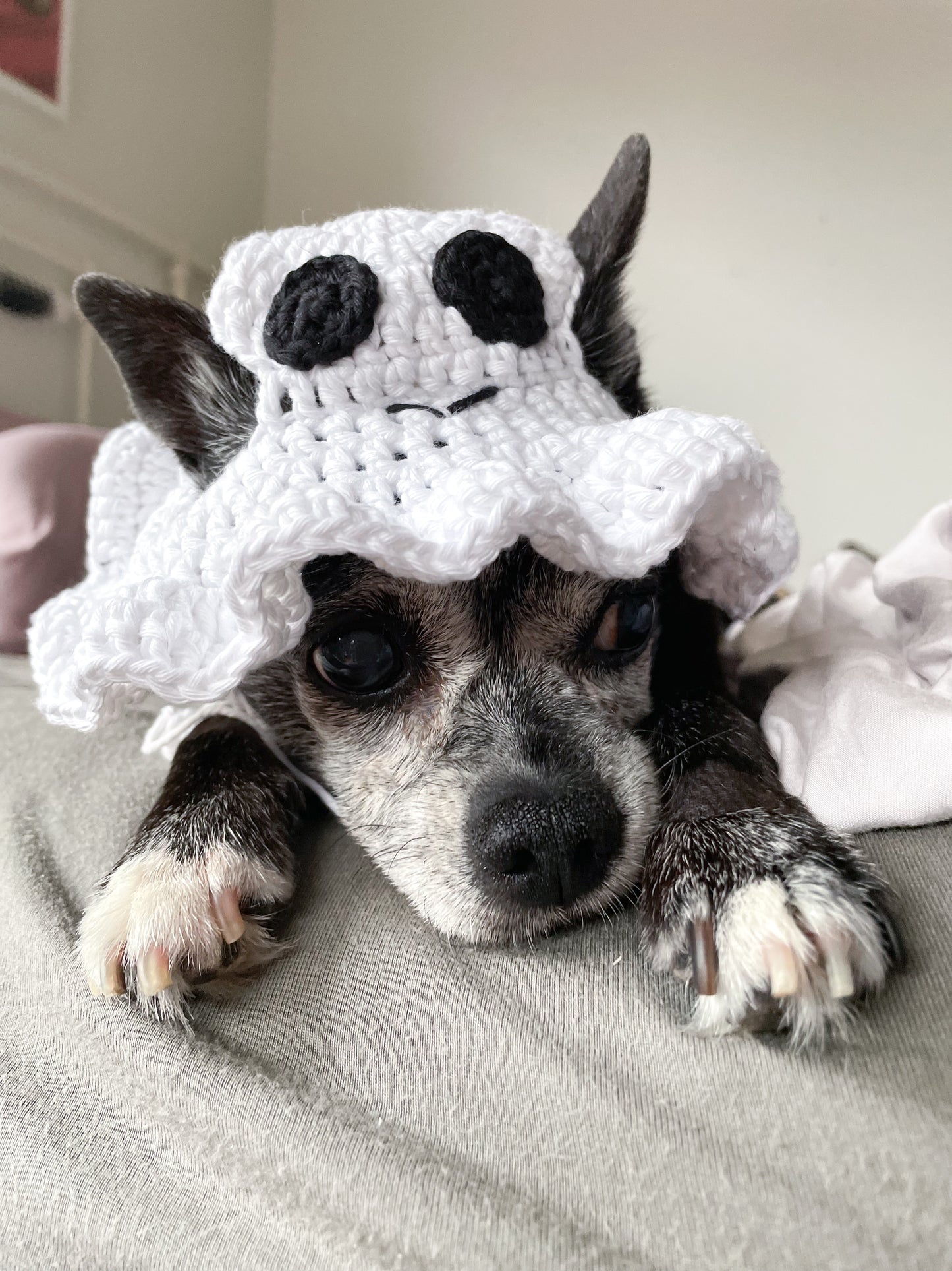 Hand-Crocheted Pet Ghost Hat