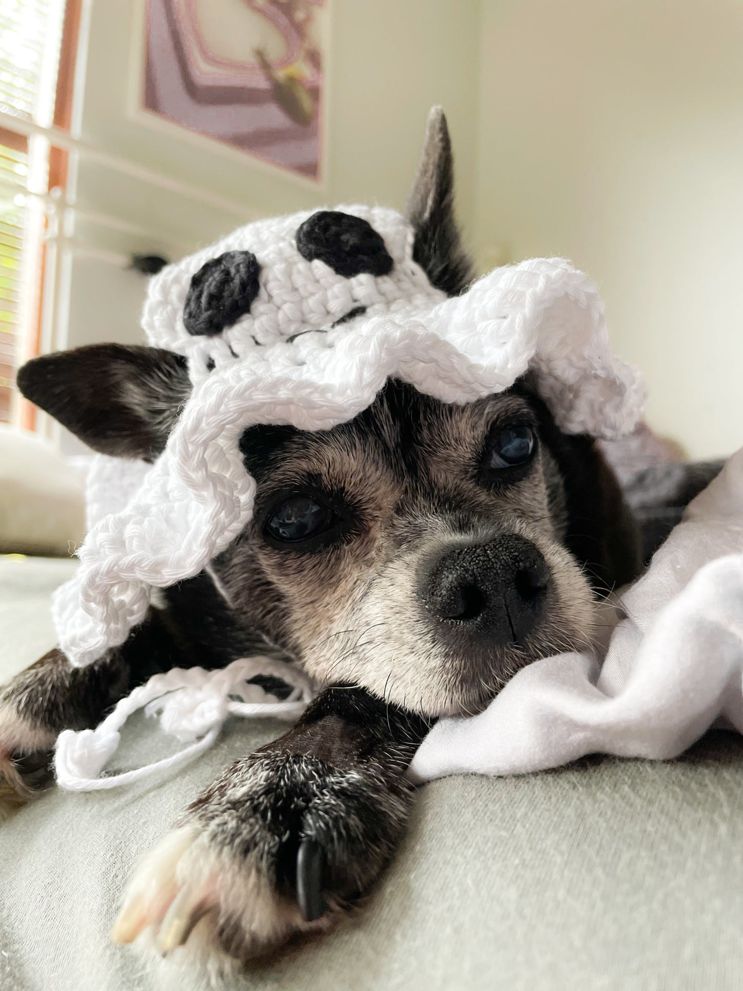 Hand-Crocheted Pet Ghost Hat