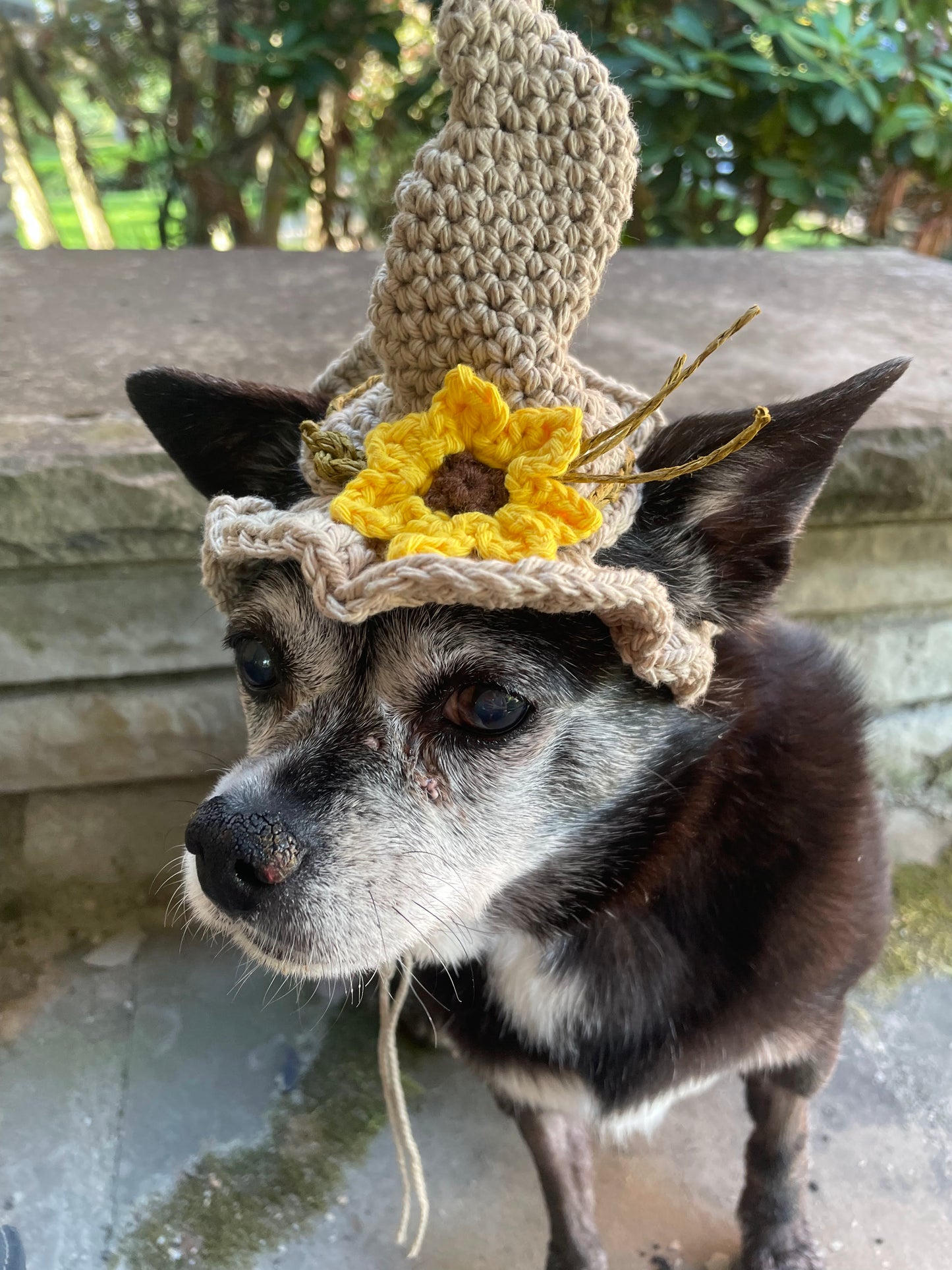 Hand-Crocheted Scarecrow Pet Hat