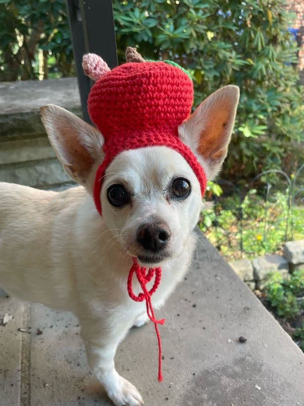 Hand- Crocheted Apple Pet Hat