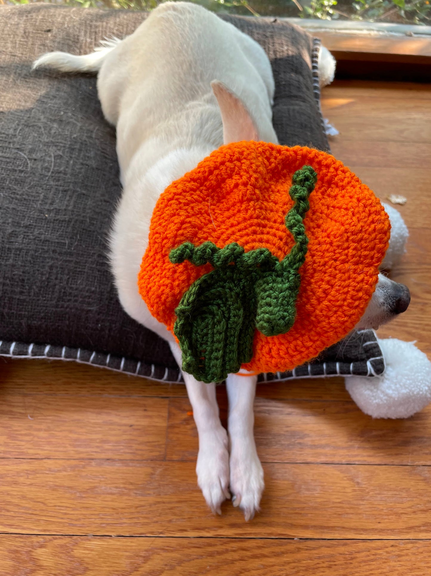 Handmade Pet Pumpkin Beret