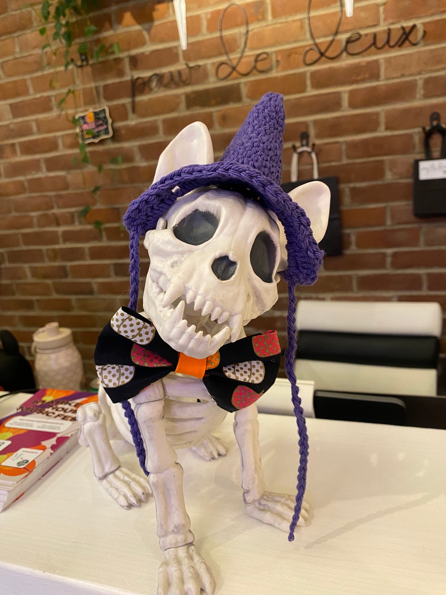 Hand-Crocheted Pet Witch Hat