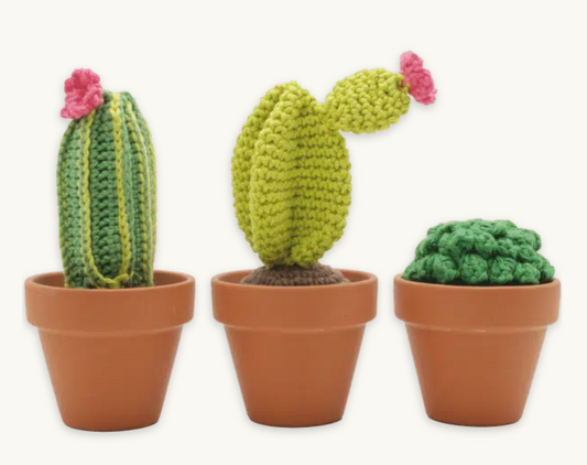 DIY Crochet Kit: Cacti
