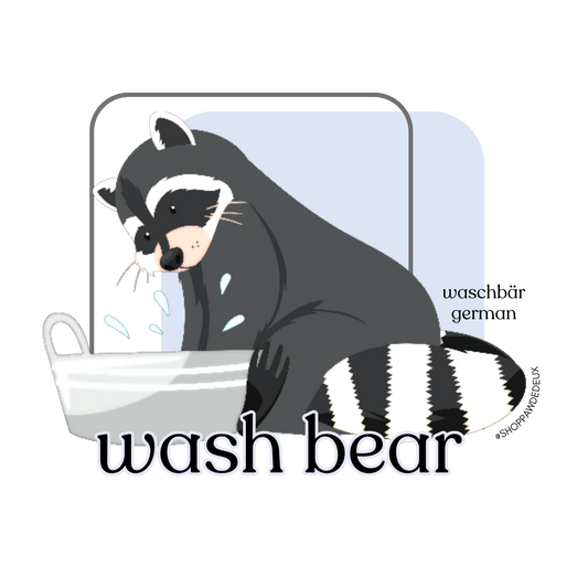 Raccoon/Wash Bear Vinyl Sticker