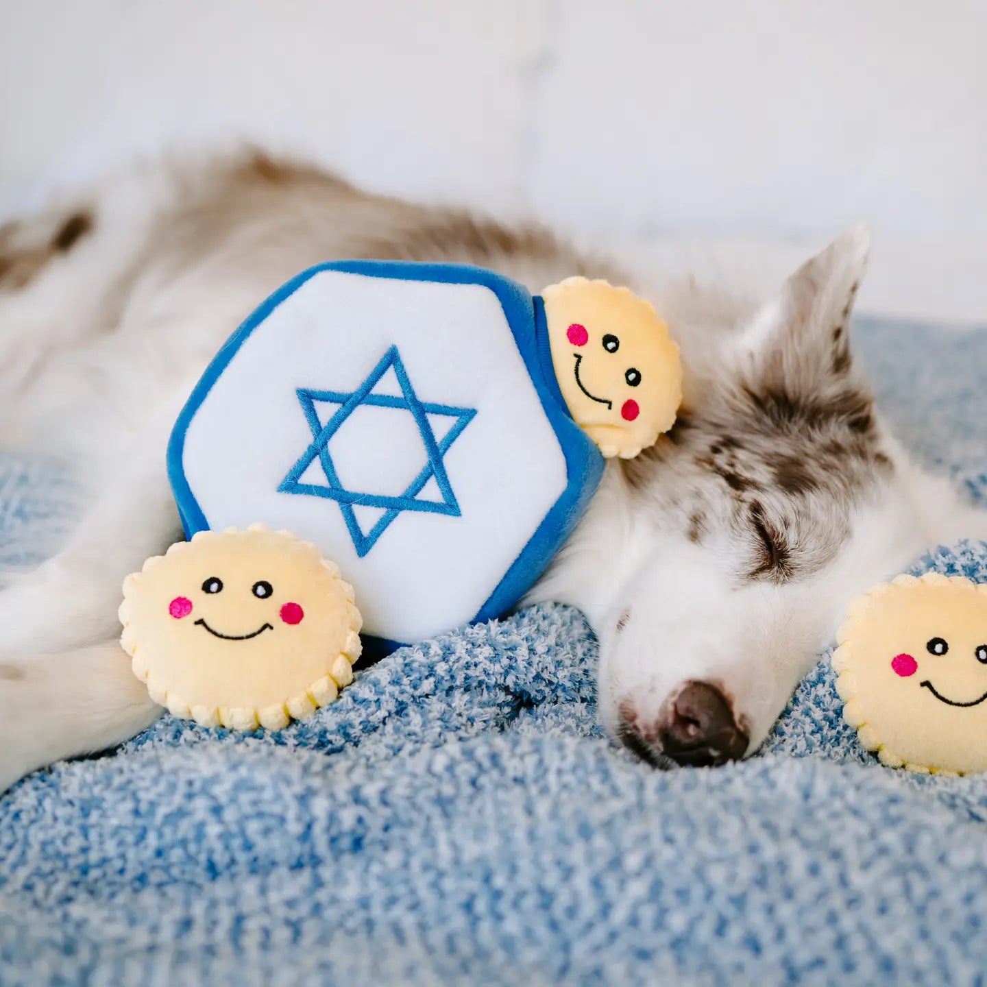 Hanukkah Burrow Toy