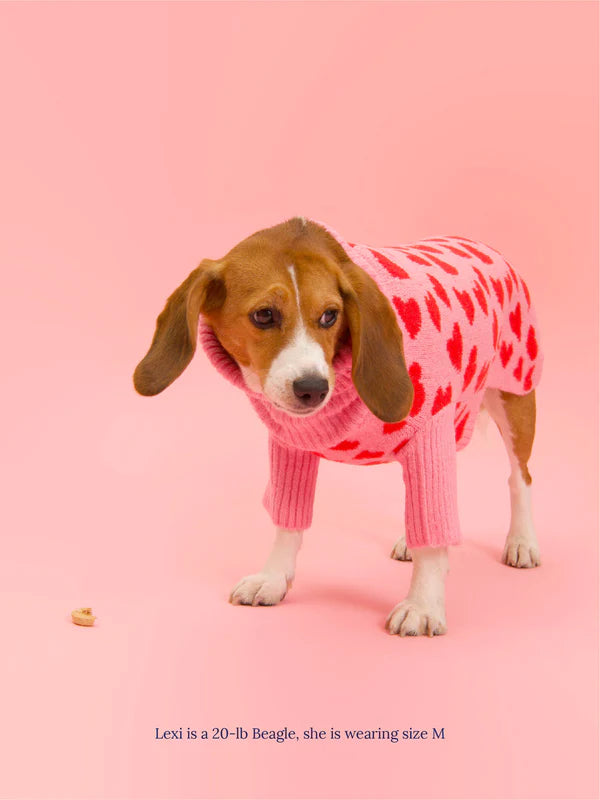 The Love Pet Sweater by Little Beast