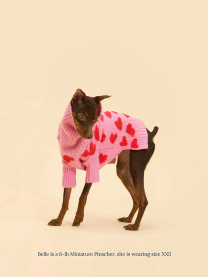 The Love Pet Sweater by Little Beast