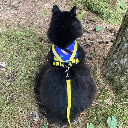 "the 90s Cat" Harness & Leash Set