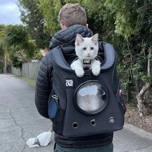 Cat Backpack For Large Cats - Bubble Carrier