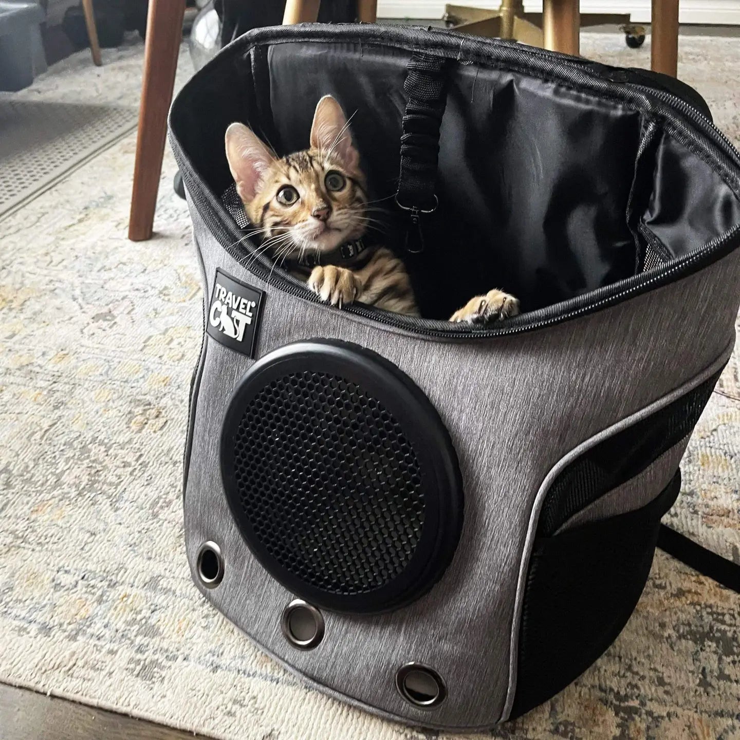 Mini Cat Backpack