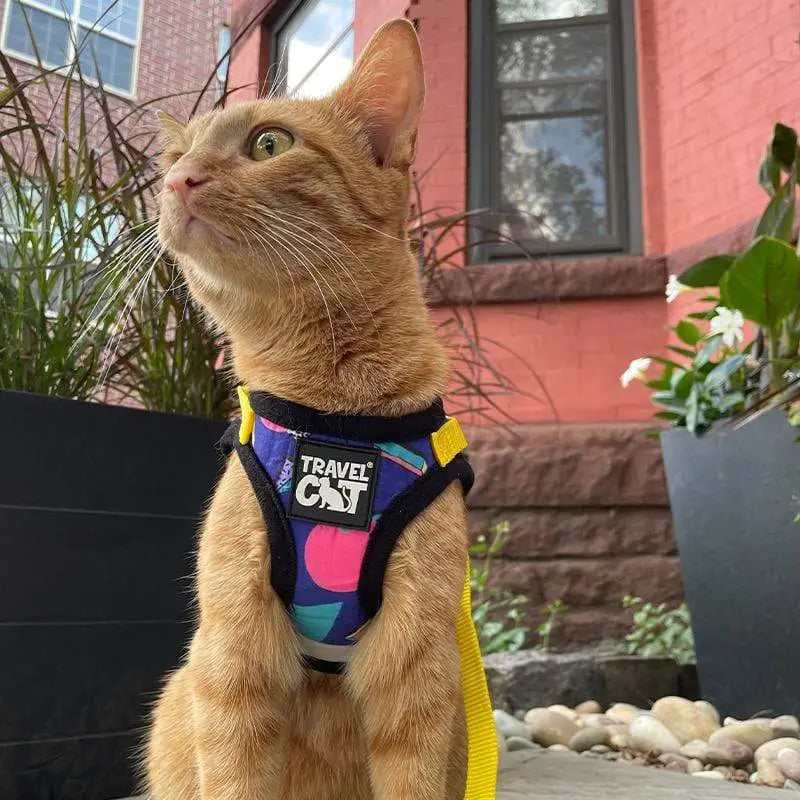 "the 90s Cat" Harness & Leash Set