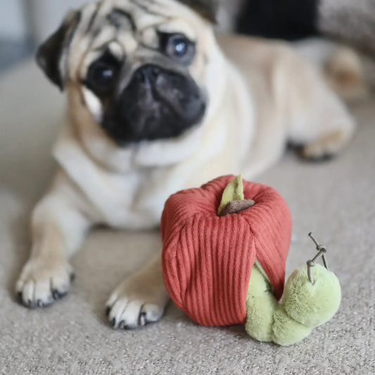 Apple Snuffle Enrichment Dog Toy