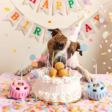 Birthday Pupsicle Party Pops