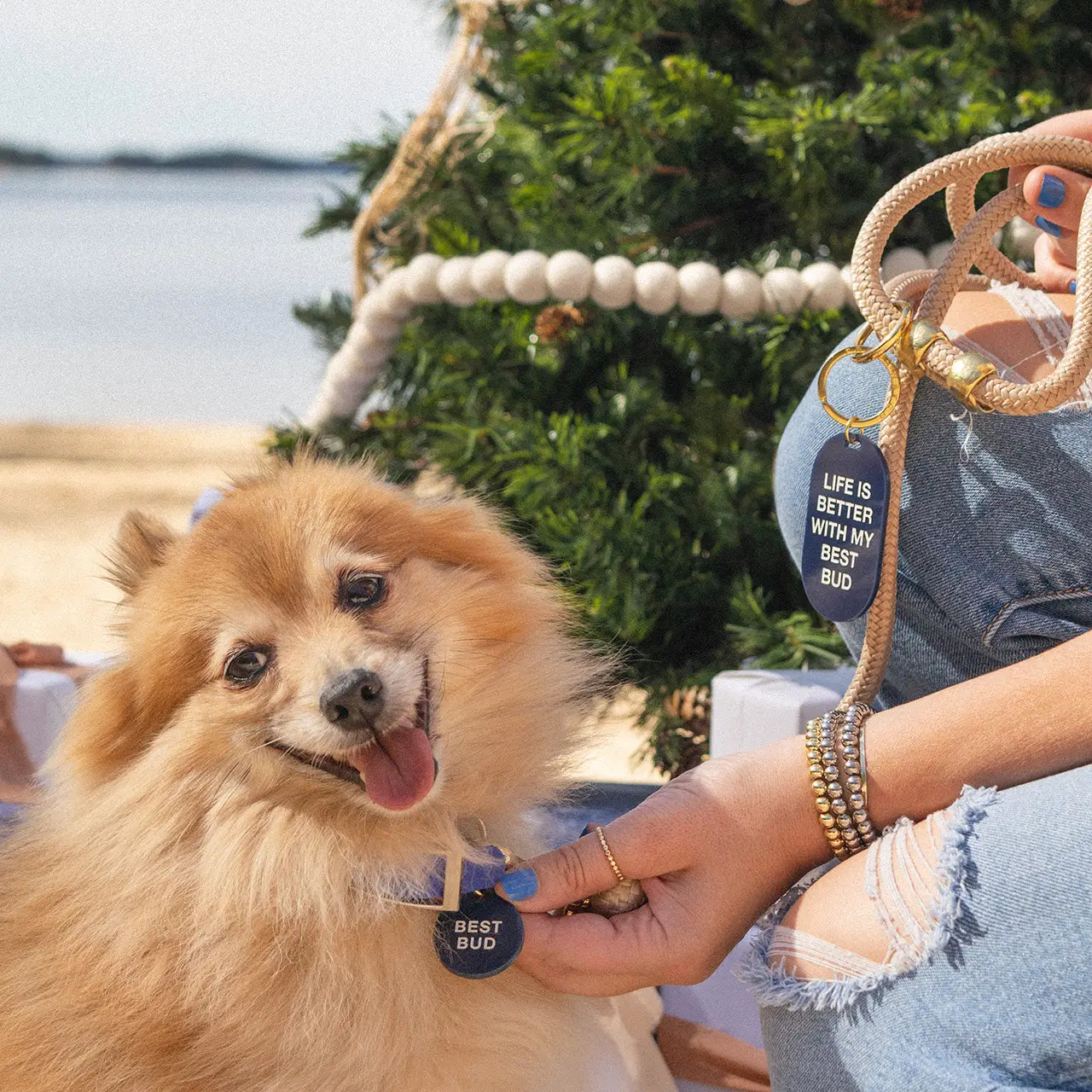 "Best Bud" Keychain and Collar Tag Set