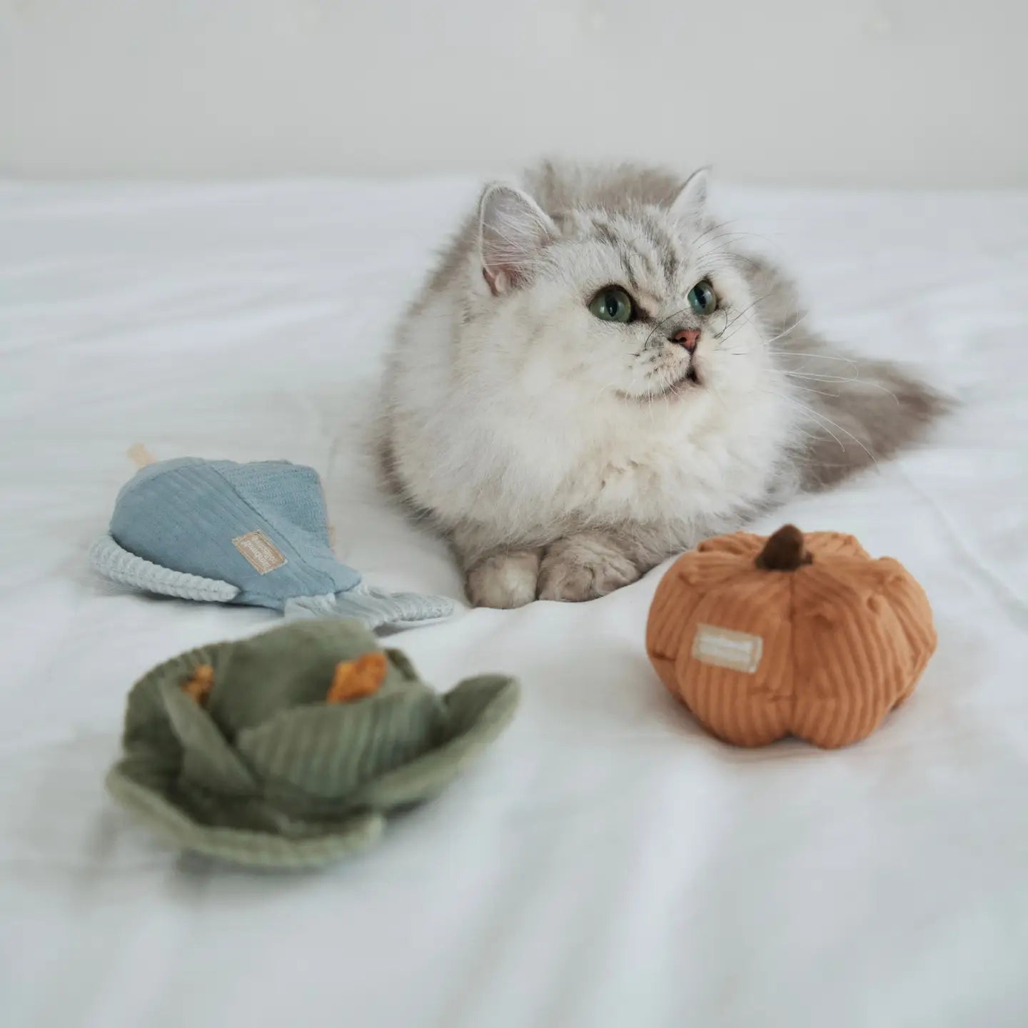 Pumpkin Cat Toy