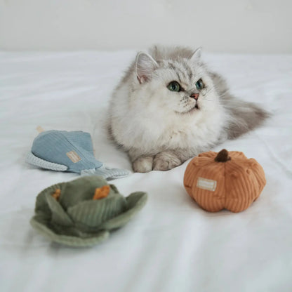 Pumpkin Cat Toy