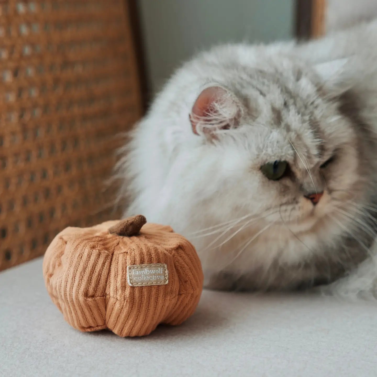 Pumpkin Cat Toy