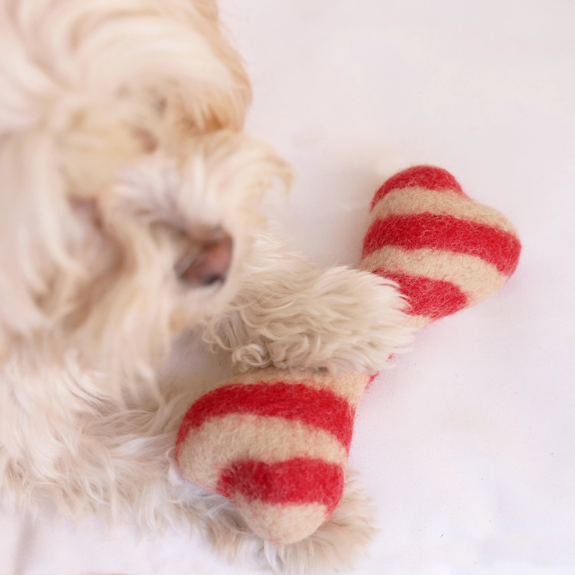 Wool Candy Cane Dog Toy