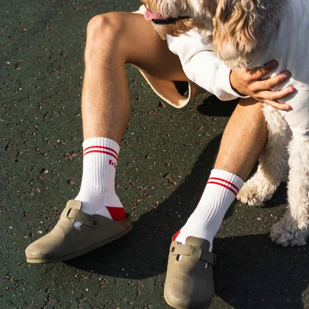 "Dog Friendly" Crew Socks for Humans