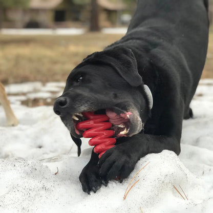 Power Chewer Xmas Tree Dog Toy