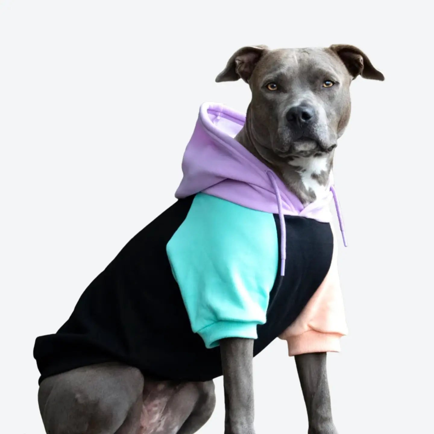 Spark Paws Cyber Punk Dog Sweatshirt