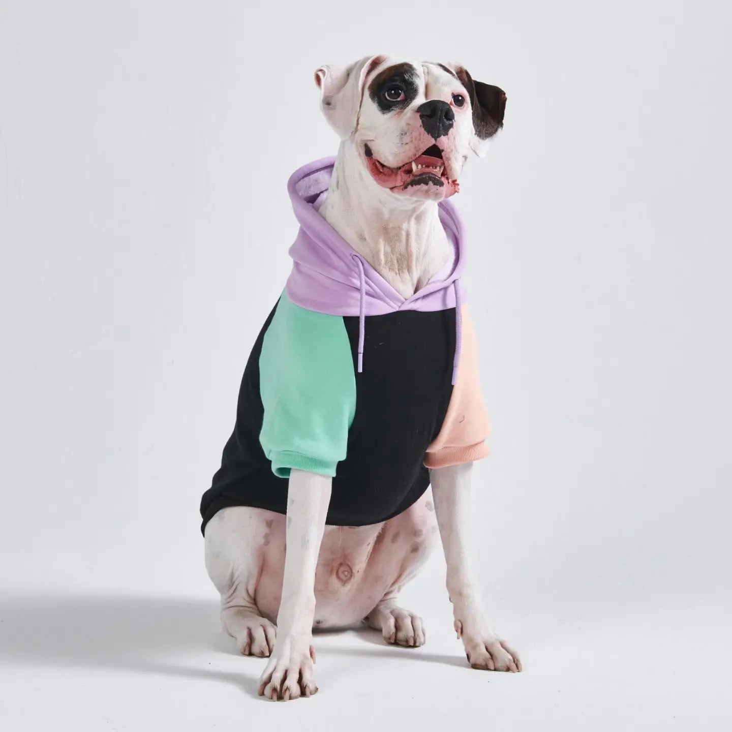 Spark Paws Cyber Punk Dog Sweatshirt
