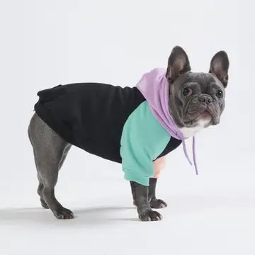 Spark Paws Cyber Punk Dog Sweatshirt
