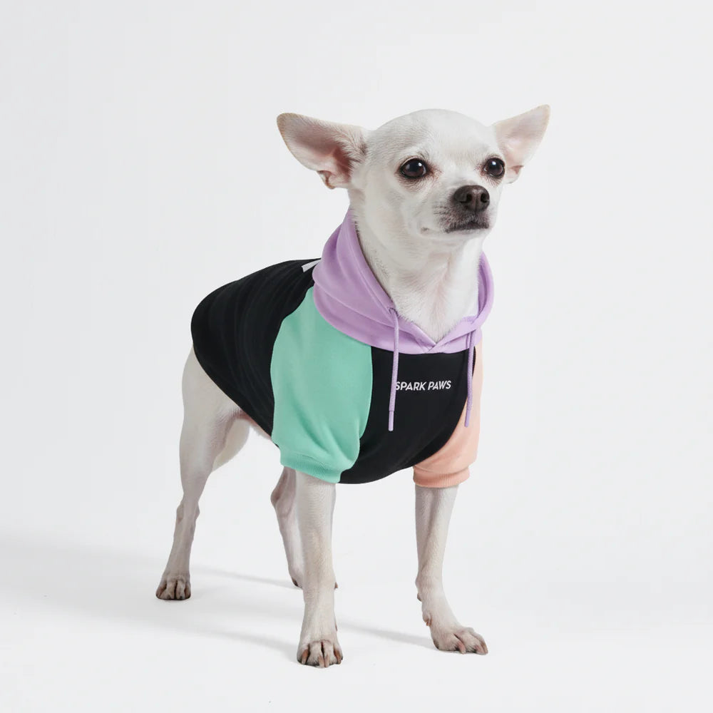 Spark Paws Cyber Punk Dog Sweatshirt