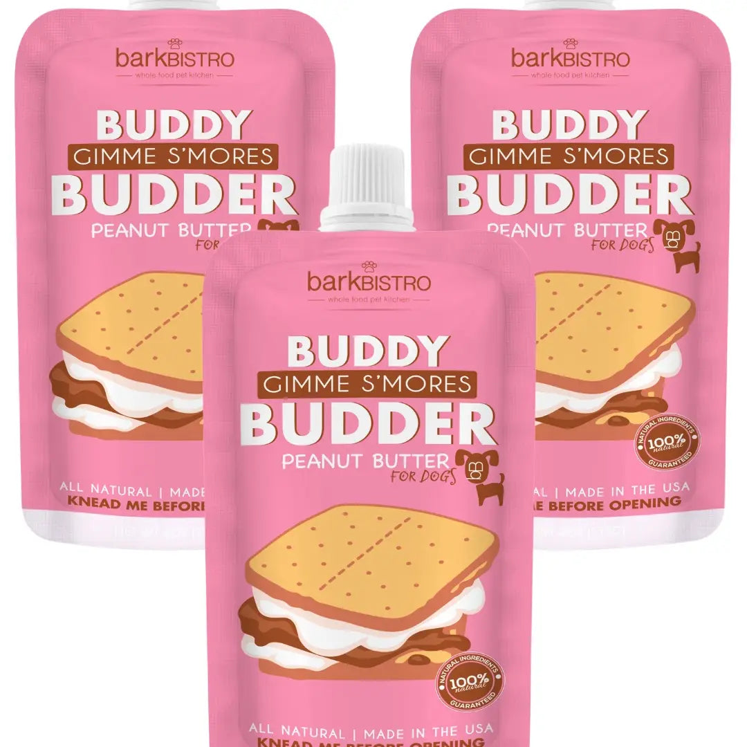 Gimme S'mores Buddy Budder Squeeze Packs