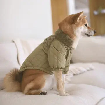 The Packable Soho Pet Jacket