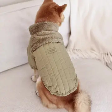 The Packable Soho Pet Jacket