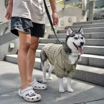 The Packable Soho Pet Jacket